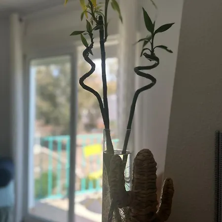 Casa Medusa *